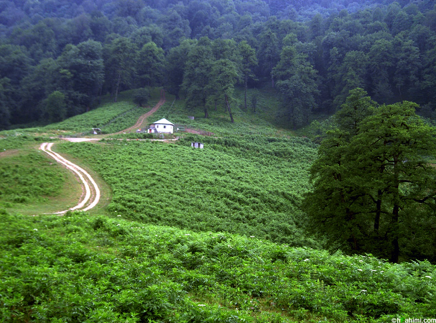 Jannat Roudbar road, Ramsar, Iran